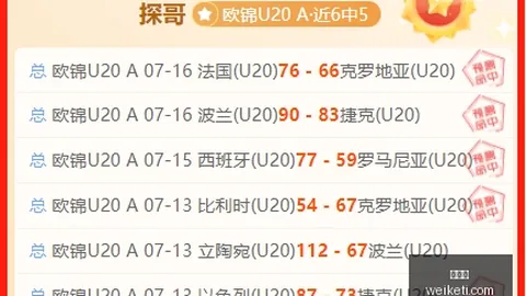 阿森纳转会风云：维尼修斯无望，巴尔科拉与伊尔迪兹成潜在新援